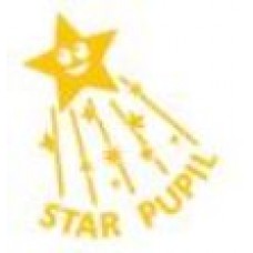 68328 Star Pupil Self Inking Teacher Reward Stamp