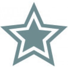 68165 -  Silver Star Self Inking Teacher Reward Stamp(19mm)