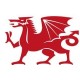 Loyalty Card Self Inking Stamp - Welsh Dragon