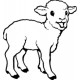 Lamb - Loyalty reward stamp - 11 x 11