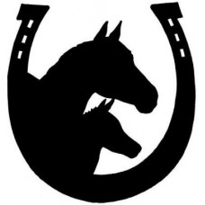 Loyalty Reward Self Inking stamp - Horse/Horse shoe