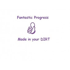 Fantastic Progress made in your DIRT - Self inking teacher reward stamp - 28mm Violet Ink