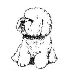 Bichon Frise - Dog self inking stamp - Black Ink - 28 x 28 mm
