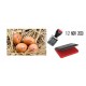 Egg Dater Pack - Includes One x 4mm Mini Rubber Dater Stamp and One x pre Inked Food/Egg Safe Ink pad - RED Ink