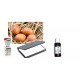 Egg Dater Kit - Includes 4mm Mini Rubber Date Stamp, 15 oz RED Food Safe Ink, and a Dry Ink pad