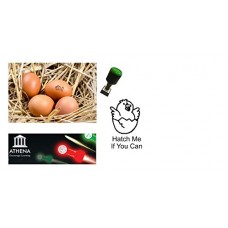 12mm Novelty Egg Stamp - for use with separate ink pad - Hatch me if you can